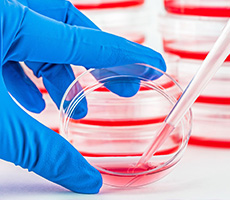 微生物細胞計數(shù)-圖像法