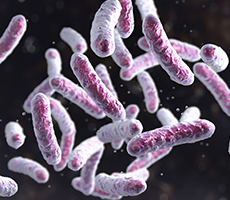 應(yīng)用案例 | 微生物細(xì)胞計(jì)數(shù)和活率檢測(cè)分析