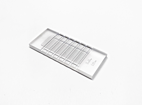 微生物計(jì)數(shù)板